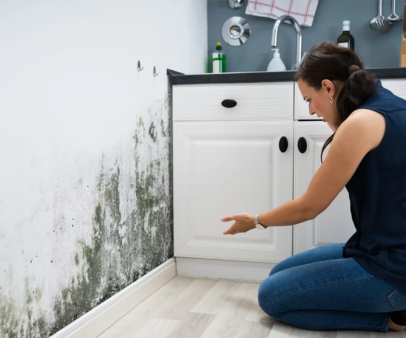 Mold & Radon Testing Home Inspection Services